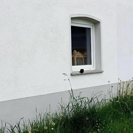 Urlaub Auf Dem Hirschhof Stehle Apartamento Waldburg Exterior foto