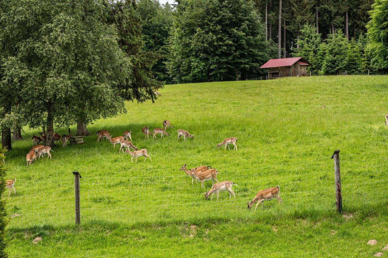 Urlaub Auf Dem Hirschhof Stehle Apartamento Waldburg Exterior foto